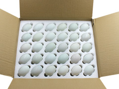 �����а��b�������������ް��b����