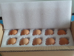 �������ݵ��а��b