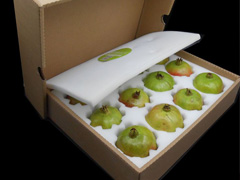 ��ʯ����b���(n��i)�С�������ʯ����b���(n��i)��