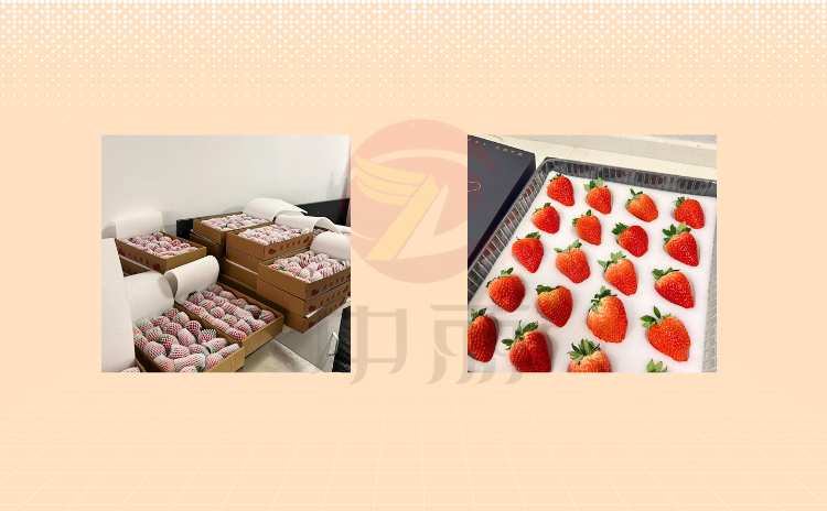 ������Ƭ������ˮ���|Ƭ